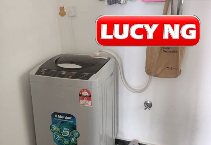 Eco Bloom @ Eco Meadows