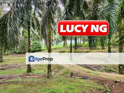 8.457 acres | Agricultural Land | Selama | Perak b, Perak, Selama