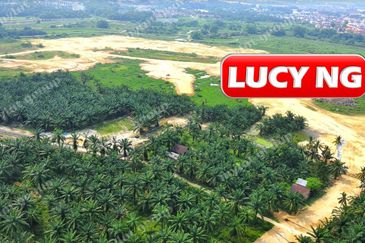 Kampung Baru Permatang Tinggi