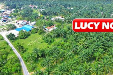 Kampung Baru Permatang Tinggi