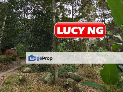 53.13 acre | Durian Farm | Teluk Kumbar | Agricultural Land | Penang t, Penang, Teluk Kumbar