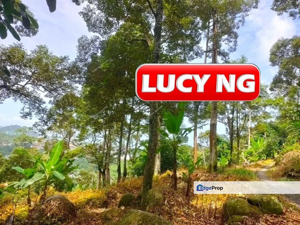 53.13 acre | Durian Farm | Teluk Kumbar | Agricultural Land | Penang t, Penang, Teluk Kumbar