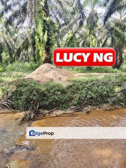 101175 acres | Agricultural Land | Palm Oil  | Sungai Kob | Karangan | Kedah b, Kedah, Kulim