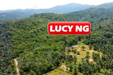 OFF JALAN SUNGAI ULAR - KELANG LAMA