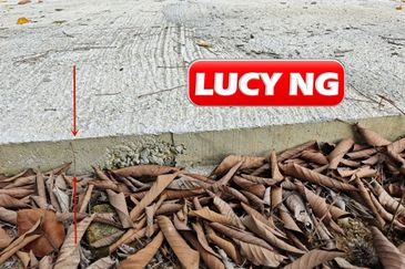 Balik Pulau / Teluk Bahang