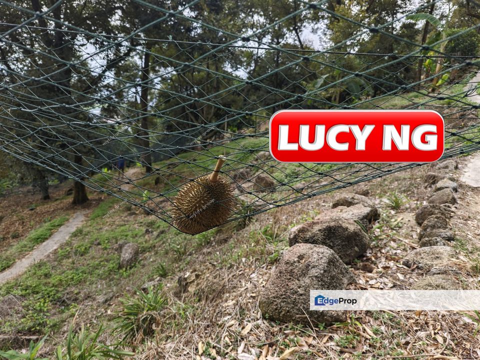 2.34 acres | Sea Views | Fruit Orchard | Balik Pulau | Pulau Pinang t, Penang, Balik Pulau