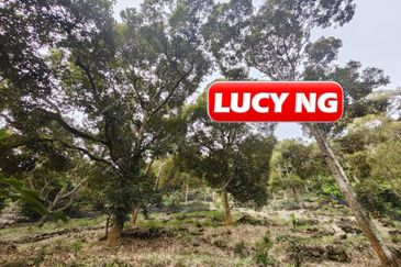 Balik Pulau / Teluk Bahang