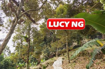 Balik Pulau / Teluk Bahang