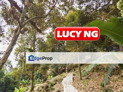 2.34 acres | Sea Views | Fruit Orchard | Balik Pulau | Pulau Pinang t, Penang, Balik Pulau