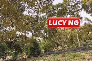 Balik Pulau / Teluk Bahang