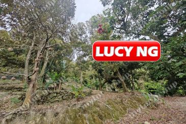 Balik Pulau / Teluk Bahang