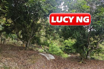 Balik Pulau / Teluk Bahang