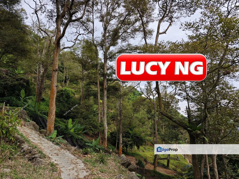 2.34 acres | Sea Views | Fruit Orchard | Balik Pulau | Pulau Pinang t, Penang, Balik Pulau