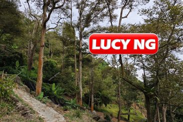 Balik Pulau / Teluk Bahang