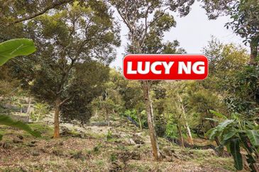 Balik Pulau / Teluk Bahang