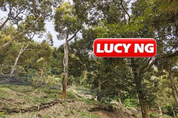 Balik Pulau / Teluk Bahang