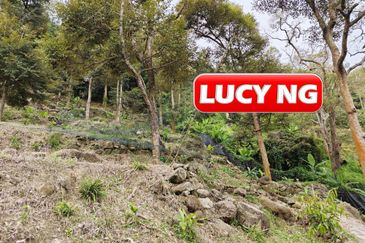 Balik Pulau / Teluk Bahang