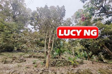 Balik Pulau / Teluk Bahang