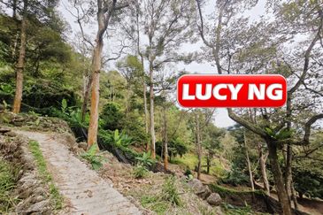 Balik Pulau / Teluk Bahang