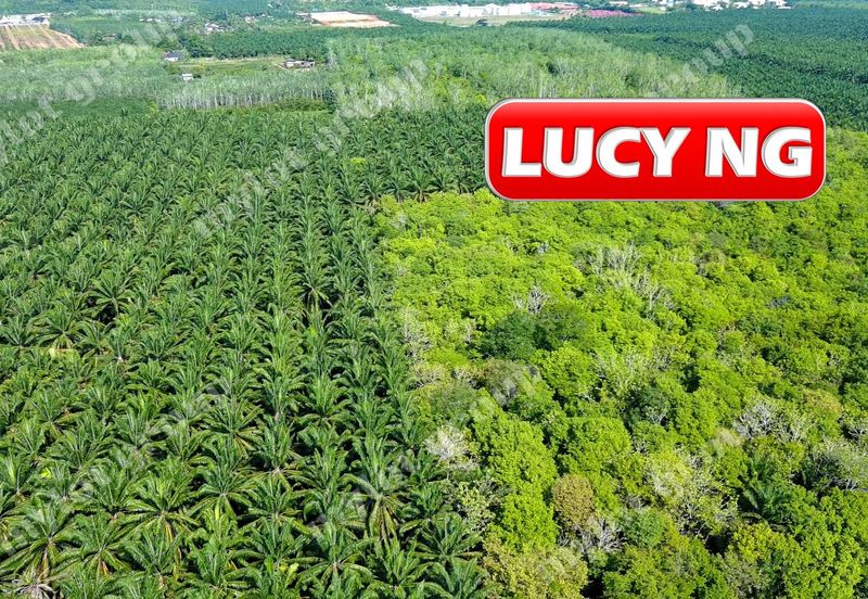 Jalan Pendang-Tanah Merah