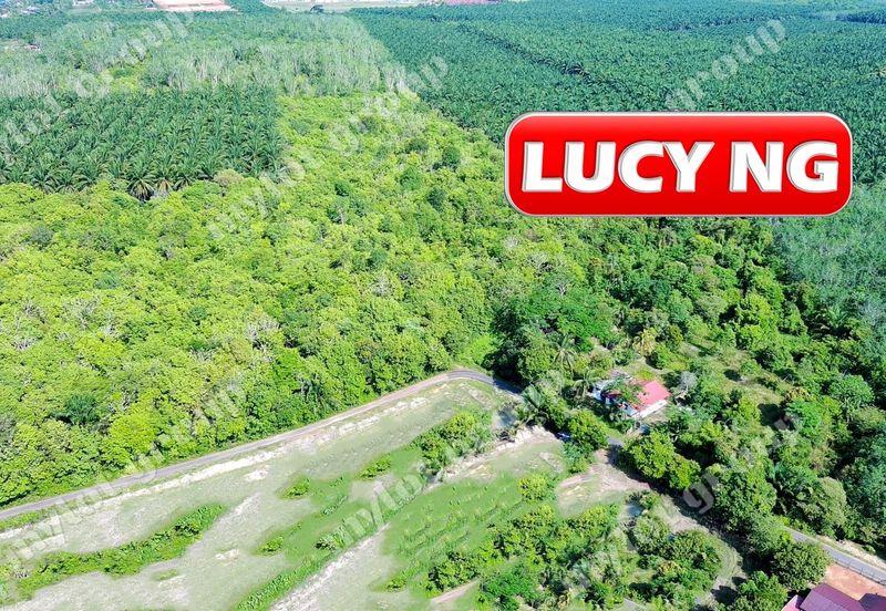 Jalan Pendang-Tanah Merah