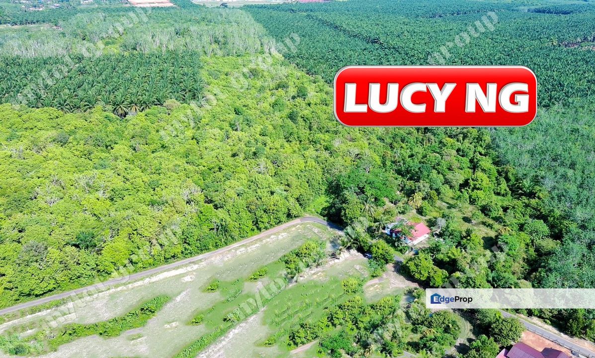 15.64 acres | Agricultural Land | Pendang | Ayer Puteh | Kedah t, Kedah, Pendang