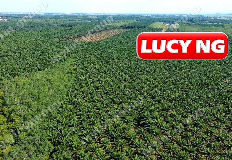 Jalan Pendang-Tanah Merah