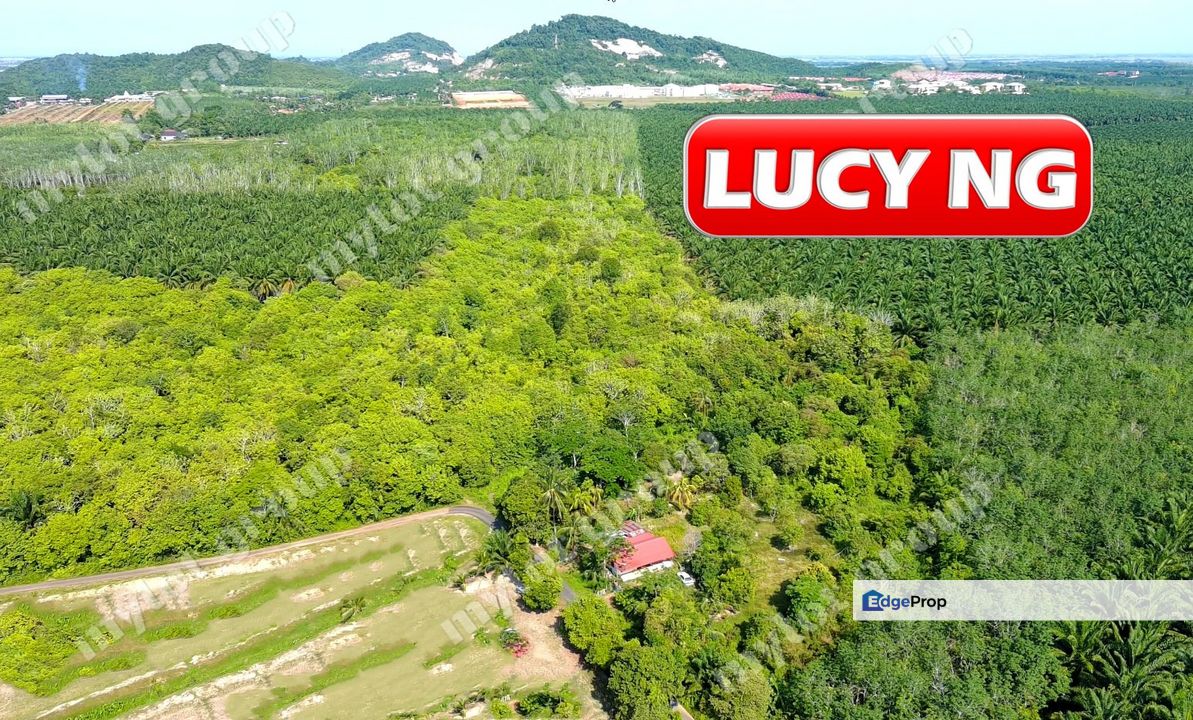 15.64 acres | Agricultural Land | Pendang | Ayer Puteh | Kedah t, Kedah, Pendang