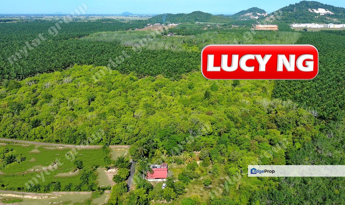 15.64 acres | Agricultural Land | Pendang | Ayer Puteh | Kedah t, Kedah, Pendang