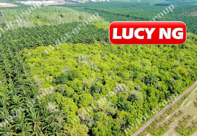 Jalan Pendang-Tanah Merah