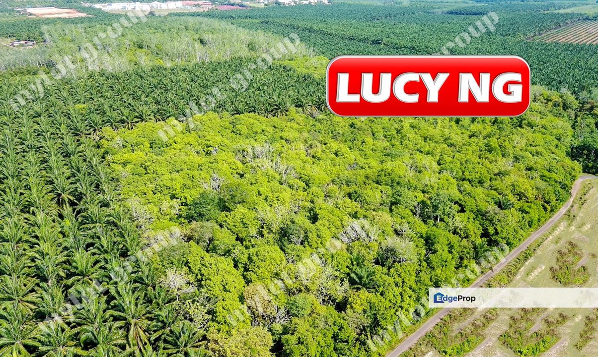 15.64 acres | Agricultural Land | Pendang | Ayer Puteh | Kedah t, Kedah, Pendang