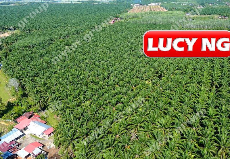 Jalan Pendang-Tanah Merah