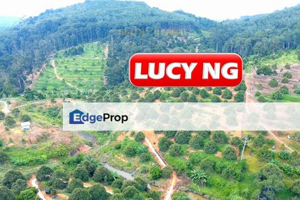 4.27 acres| Durian Farm | Perak Liman | Lubok Merbau | Kuala Kangsar | Perak  t, Perak, Ipoh