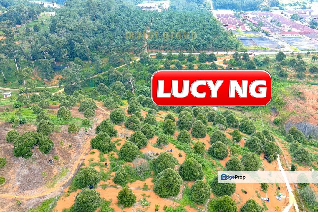 4.27 acres| Durian Farm | Perak Liman | Lubok Merbau | Kuala Kangsar | Perak  t, Perak, Ipoh
