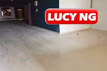 Georgetown UNESCO World Heritage Core Zone