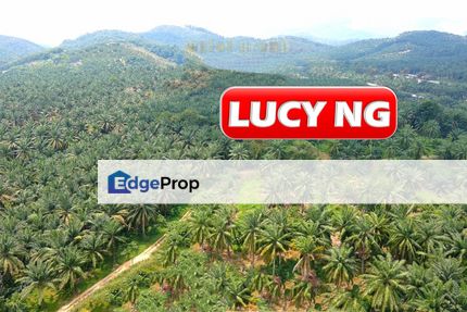 6.73 acres | Agricultural Land | Jalan Gajah Mati | Bukit Mertajam | Penang t, Penang, Bukit Mertajam
