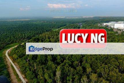34.99 acres | Lowest Price | Industrial Land | Industrial Zone | Batu Kawan | Penang t, Penang, Simpang Ampat