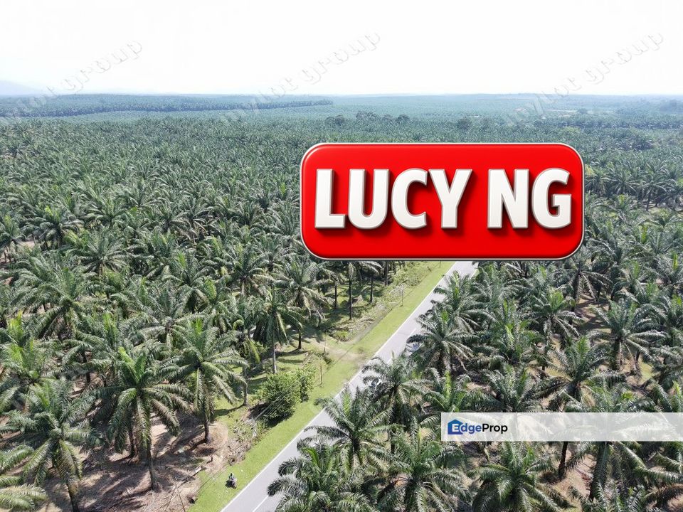 10.379 acres | Agricultural Land|  Road side | Selama Perak b, Perak, Selama