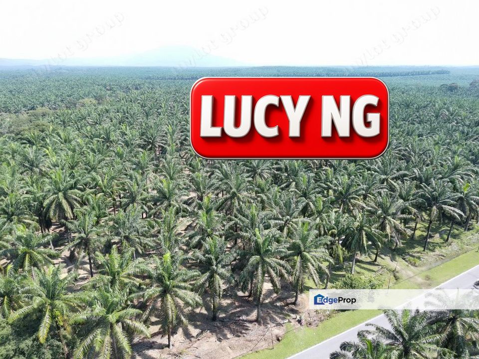 10.379 acres | Agricultural Land|  Road side | Selama Perak b, Perak, Selama