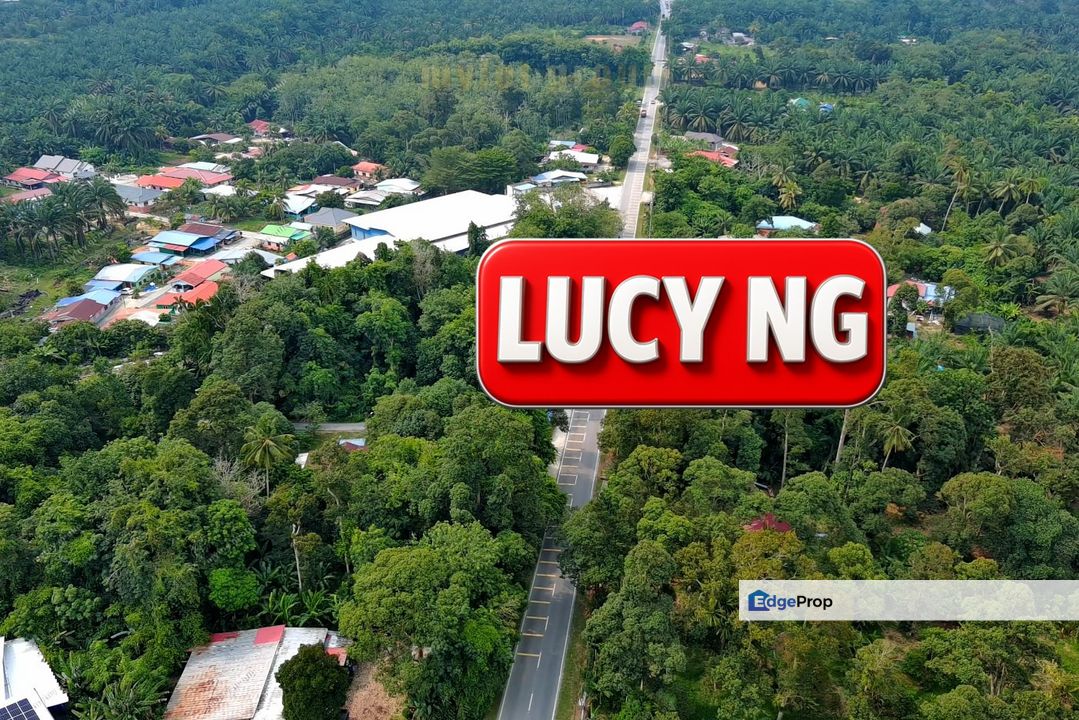 4.08 acres | First Grade | Agricultural Land | New Industrial Zone | Sungai Jawi | Penang t, Penang, Sungai Jawi