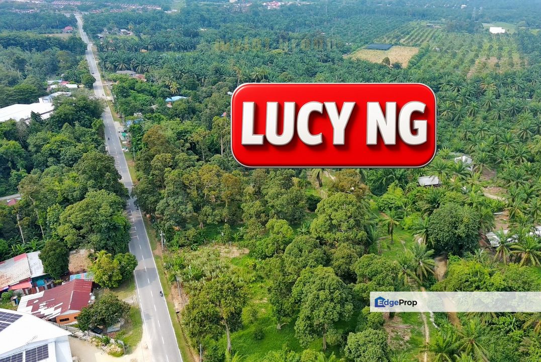 4.08 acres | First Grade | Agricultural Land | New Industrial Zone | Sungai Jawi | Penang t, Penang, Sungai Jawi