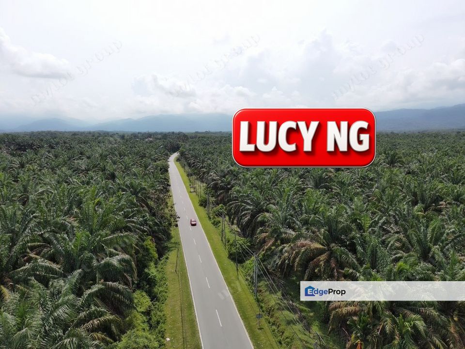 9.874 acres  | Flat Roadside Plantation Land | Selama | Perak , Perak, Selama