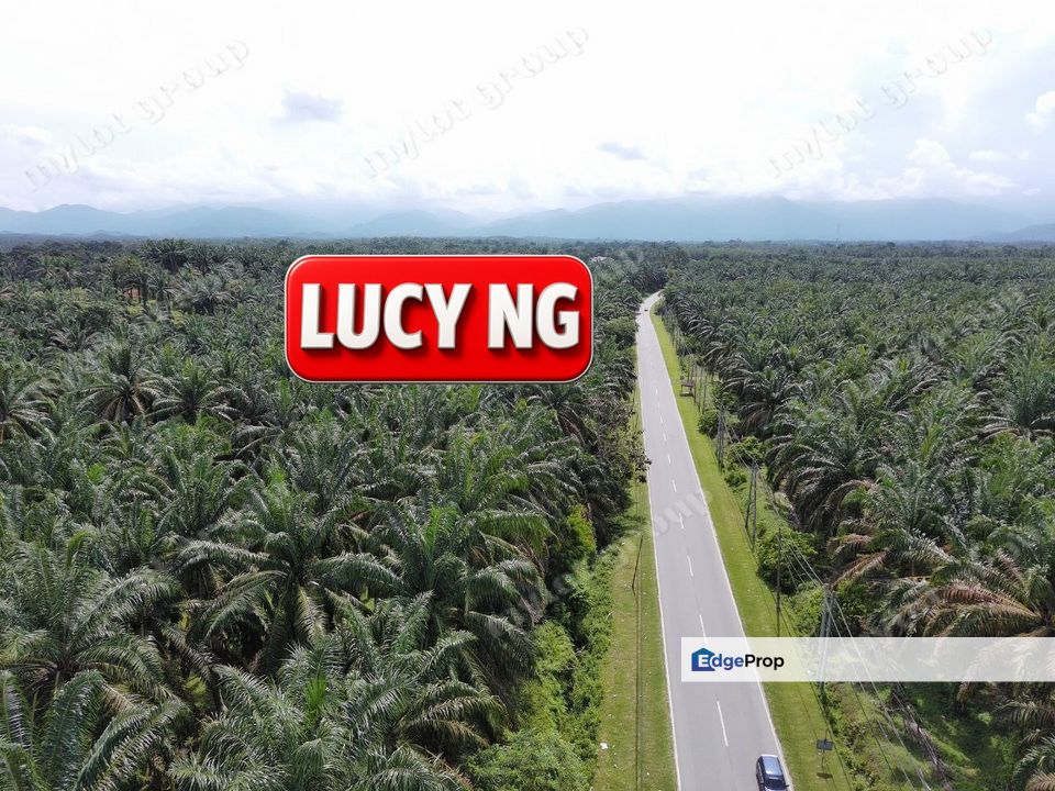 9.874 acres  | Flat Roadside Plantation Land | Selama | Perak , Perak, Selama
