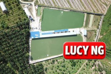 Agriculture Land @ Taiping