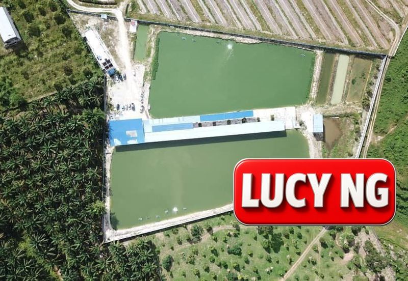 Agriculture Land @ Taiping