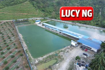 Agriculture Land @ Taiping