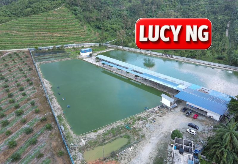 Agriculture Land @ Taiping