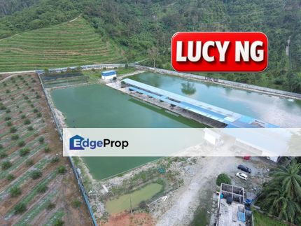 Recreational Fishing Farm | Agricultural Land | Taiping | Perak b, Perak, Taiping