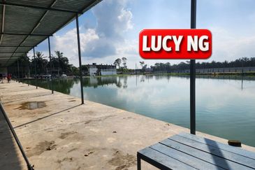 Agriculture Land @ Taiping