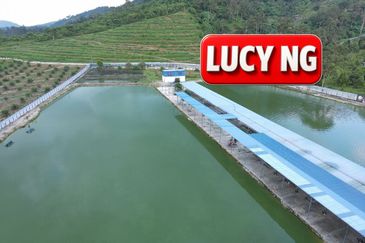 Agriculture Land @ Taiping